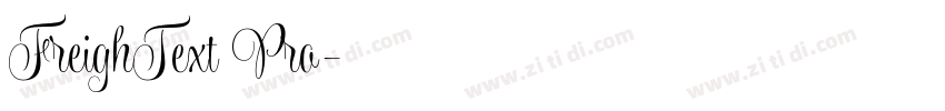 FreighText Pro字体转换